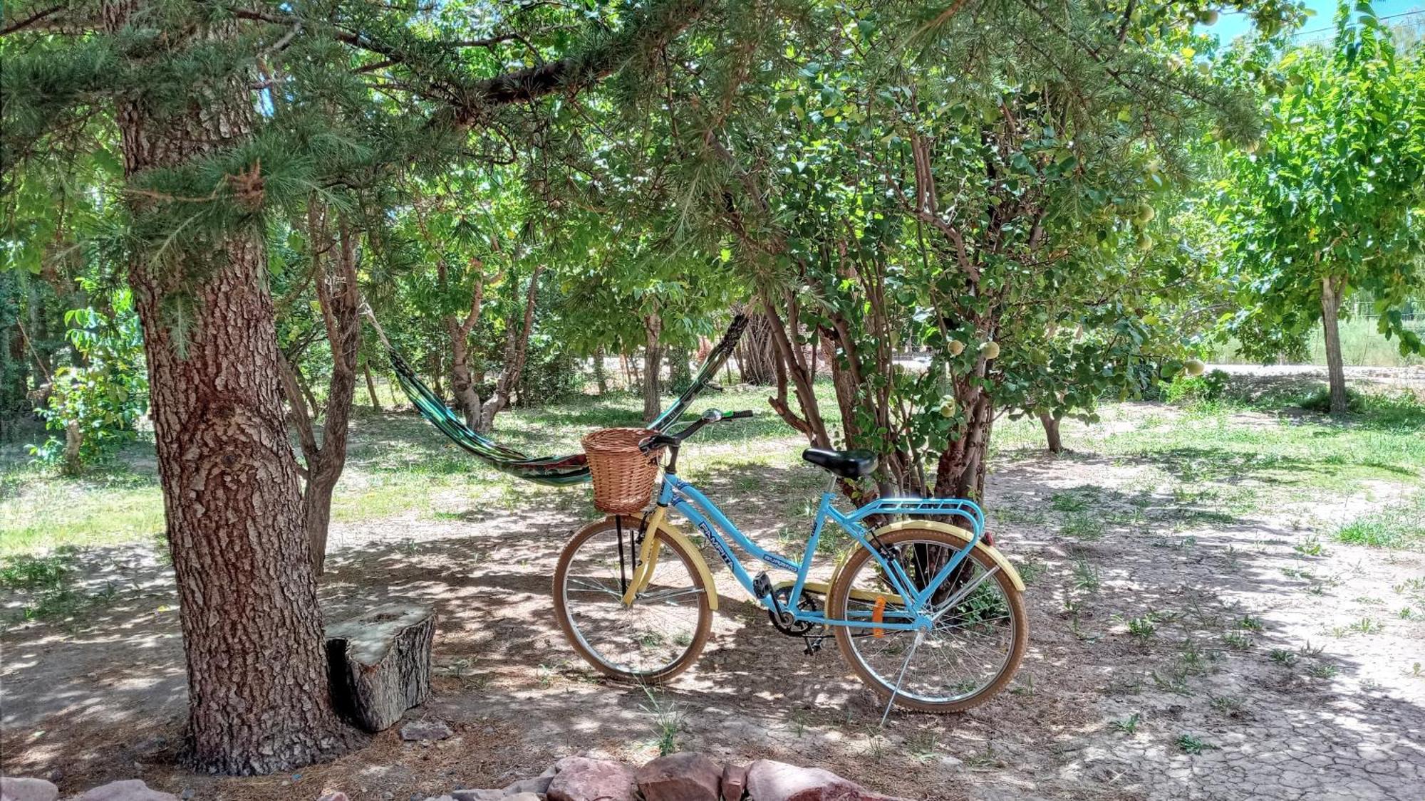 Aire De Barreal Hostel Andino Luaran gambar