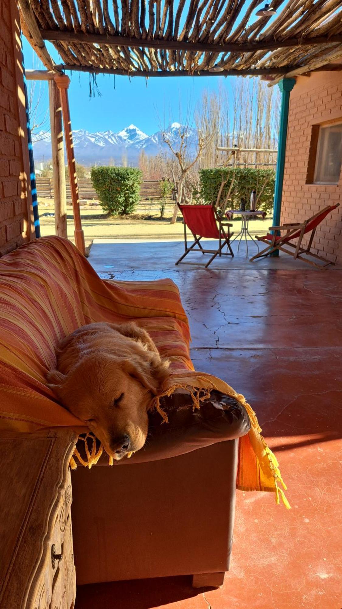 Aire De Barreal Hostel Andino Luaran gambar