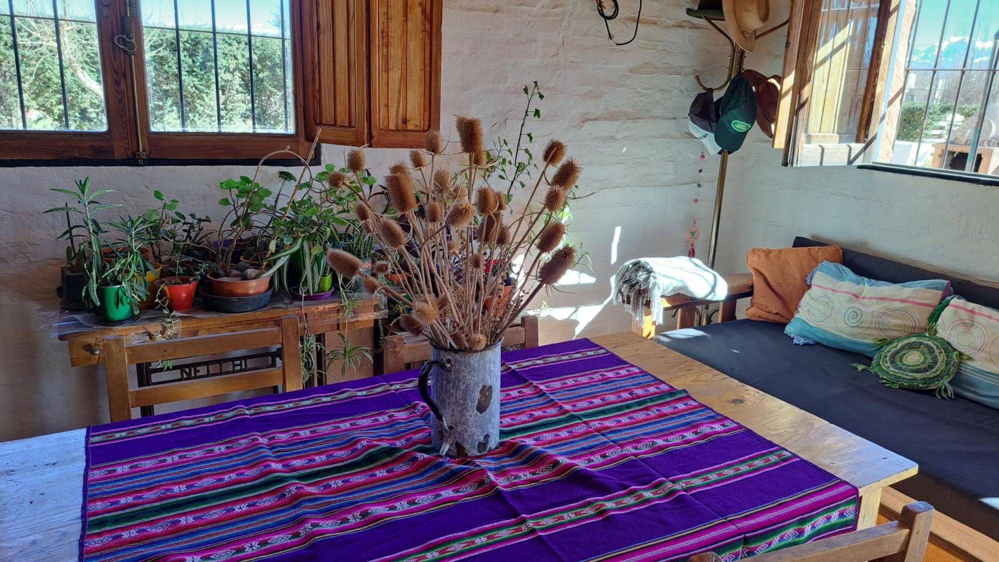 Aire De Barreal Hostel Andino Luaran gambar