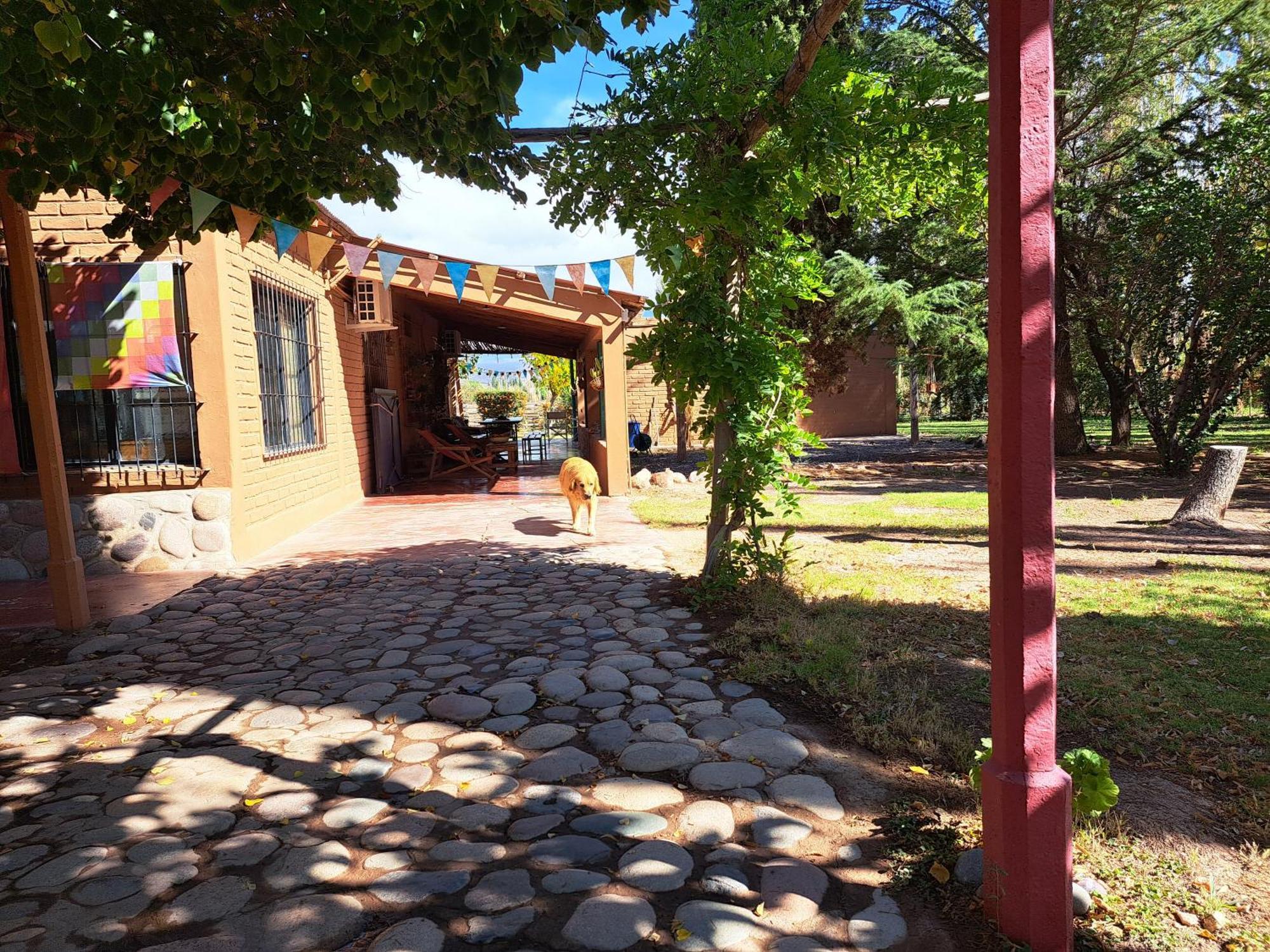 Aire De Barreal Hostel Andino Luaran gambar